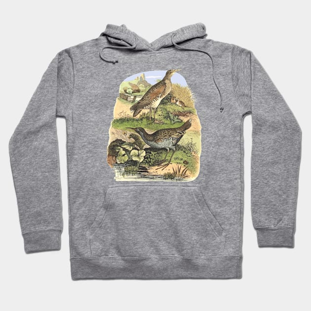 Birds on the landscape background Hoodie by Biophilia